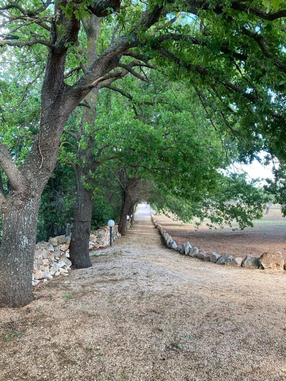 Antica Tenuta Dei Trulli By Qualitravel ألبيروبيللو المظهر الخارجي الصورة